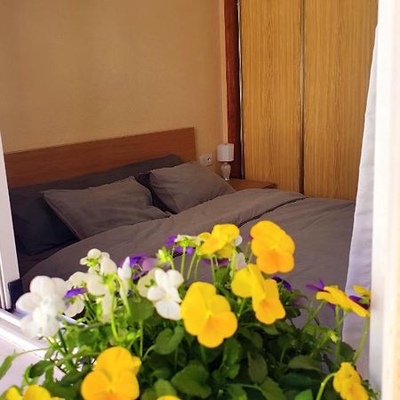 Isamar Apartamento Playa Del Cura Torrevieja Kültér fotó