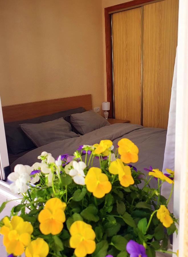 Isamar Apartamento Playa Del Cura Torrevieja Kültér fotó